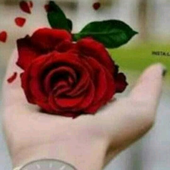 Profile Picture of ghulam Siddique (@user4010617447747) on Tiktok