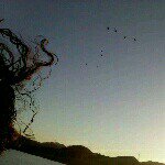 Alejandro Quijas - Instagram Profile Picture of Alejandro Quijas (@stereostoned) on Instagram