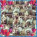 Profile Picture of John Prell (@john.prell.56) on Facebook