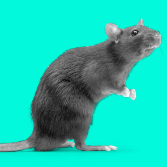 Profile Picture of Erica Schultz (@eschultz1280) on Poshmark