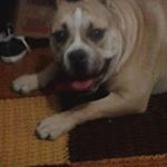 Profile Picture of Carlos Cristian Sejas (@carlossejasquispe) on Instagram