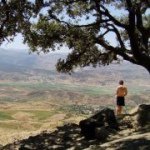 Profile Picture of Brian Morrissey (@itsbabylonbrian) on Instagram