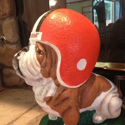 Profile Picture of Steve Luong (@nicecivic) on Twitter