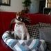 Profile Picture of Patrick Armbruster (@patrick.armbruster.1441) on Facebook