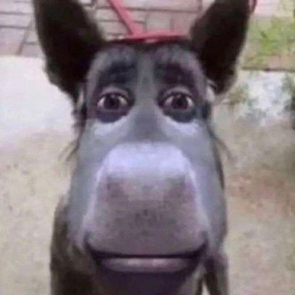 Profile Picture of George Miles (@gmiles432) on Poshmark