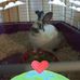 Profile Picture of Paula Fields (@paula.fields.9461) on Facebook