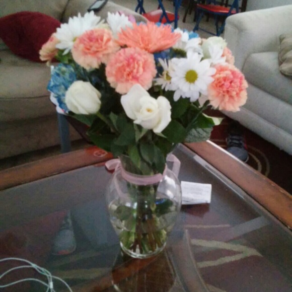 Profile Picture of Daisy Boyland (@dvardiman2011) on Poshmark