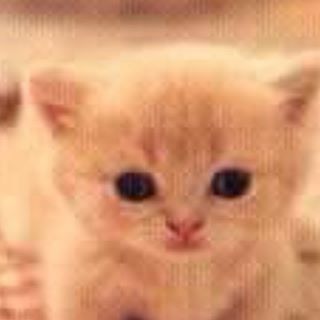 Profile Picture of Randy Lovendino (RD) (@randy.lovendino) on Facebook