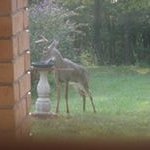 Profile Picture of Shirley Kuhn Yeomans (@shirleykyeomans) on Instagram