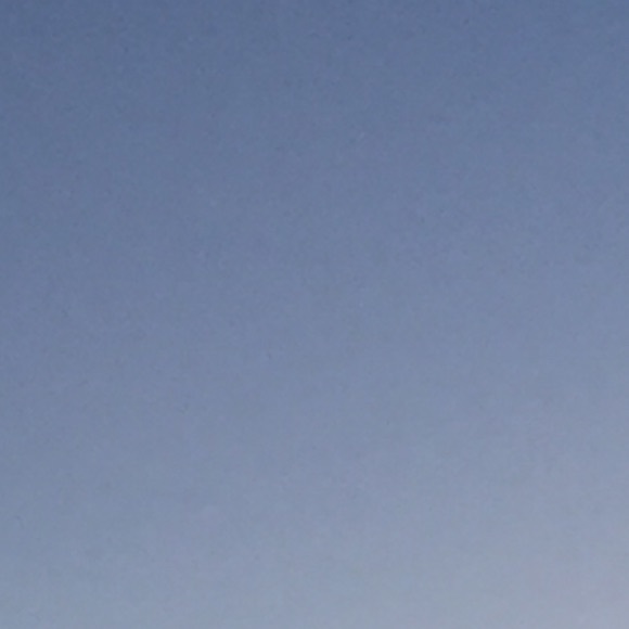 Profile Picture of Veronica Patton (@theonelives) on Poshmark