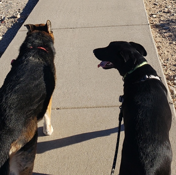 Profile Picture of Ashley Sommer (@asomm05) on Poshmark