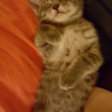 Profile Picture of Reid Morrison (@reid_morrison) on Twitter