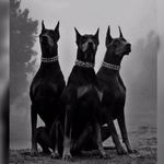 Profile Picture of Алёнка (@ivasko_alonka) on Instagram