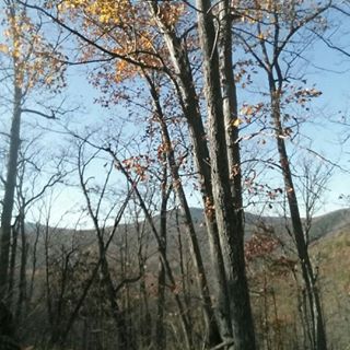 Profile Picture of Harley Lucas (@Harley-Lucas) on Facebook