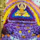 Profile Picture of   Shilpi Jain (@shilpi102)... (@shilpi102) on Tiktok