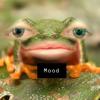 Profile Picture of Melanie Dault (@melaniedault) on Tiktok