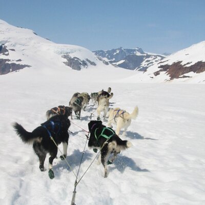 Profile Picture of Joseph Gottlieb (@Rxjoey007) on Twitter