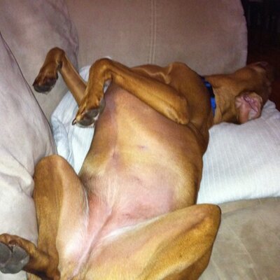 Profile Picture of Greg Scott (@forshaw07) on Twitter