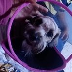 Profile Picture of Luz Green Steele (@Luz-Green-Steele) on Facebook