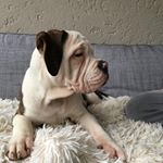 Profile Picture of Oliver Simon (@oliver.simon.10) on Instagram