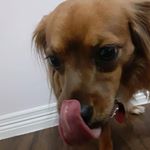 Profile Picture of Haley Hardy (@haley.hardy.94849) on Instagram