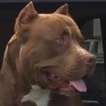 Profile Picture of Isaac Jones (@goodboy0017) on Instagram