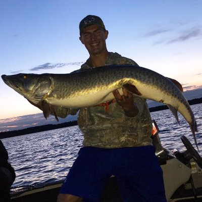 Profile Picture of Kyle Bushman (@kylebushman) on Twitter