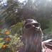 Profile Picture of Christopher Ringquist (@christopher.ringquist.5) on Facebook