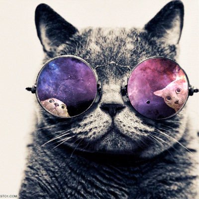 Profile Picture of Mike Allred (@michaelallred07) on Twitter