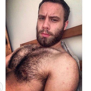 Profile Picture of Helen Uribe (@cassandragold42) on Twitter