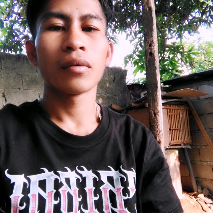 Profile Picture of bergenojoel (@bergenojoel) on Tiktok