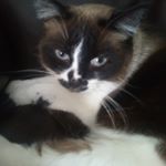 Profile Picture of Sky Potter (@skypotter74) on Instagram