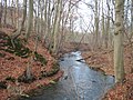Profile Picture of Nonnenbach (Tollense)on Wikipedia