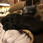 Profile Picture of Mindy Corrie (@mindycorrie) on Instagram