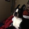 Profile Picture of Heather Staples (@@pennie2001) on Tiktok