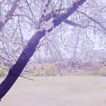 Profile Picture of 지윤 (@chung_jiyoon_1211) on Instagram