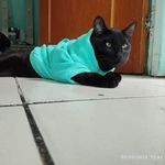 Profile Picture of Luis Lenis (@luis.lenis.940) on Instagram