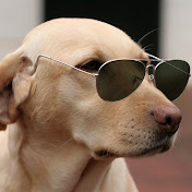 Profile Picture of Michael Irvine (@michaelirvine9753) on Youtube