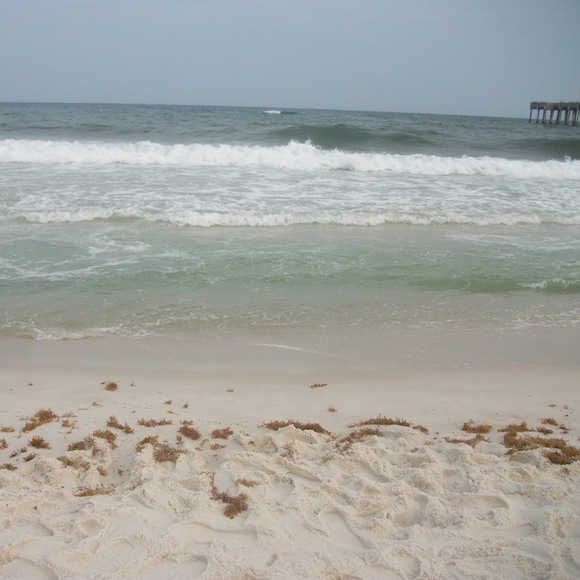 Debbie Nutwell - Poshmark Profile Picture of Debbie Nutwell (@dnutwell63) on Poshmark