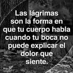 Profile Picture of Rocio Barba (@rociobarba24091988) on Instagram