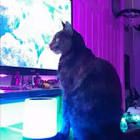 Profile Picture of   🏀Its 𝕍𝕒𝕪 𝕍𝕒𝕪⚽... (@vaydensavage) on Tiktok