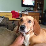 Profile Picture of Kevin Woodard (@kevin.woodard.961) on Instagram