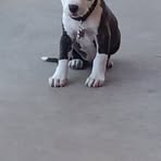 Profile Picture of Sherman Hunter (@sherman.hunter.1232) on Facebook