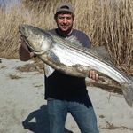 Profile Picture of Brian Rhen (@brhen856) on Instagram