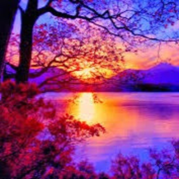 Profile Picture of Delaney Edwards (@delaneyedwar425) on Poshmark