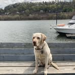 Profile Picture of Clark Wigginton (@Clark-Wigginton) on Facebook