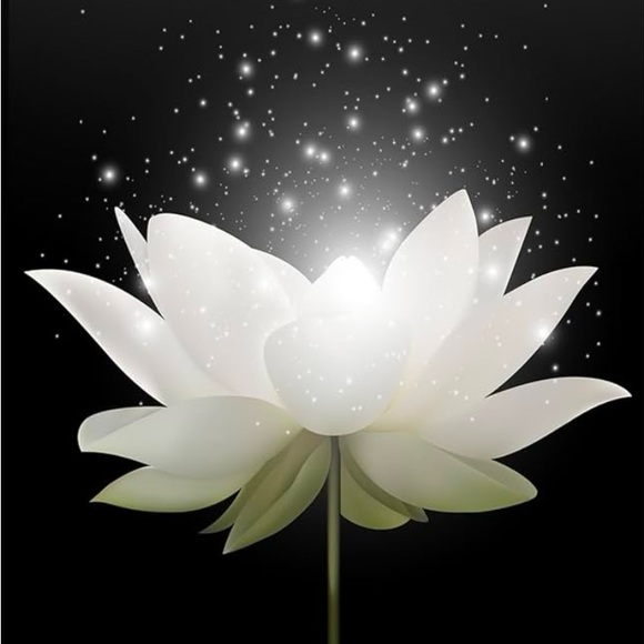 Profile Picture of Ciera Bownes (@cierabownes) on Poshmark