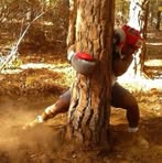 Profile Picture of JaVonne Holmes (@JaVonneHolmesWushu) on Facebook