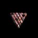 Profile Picture of Adam Ranney (@adamranney) on Facebook