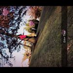 Profile Picture of Emily (@emilykellermann.spamacc) on Instagram